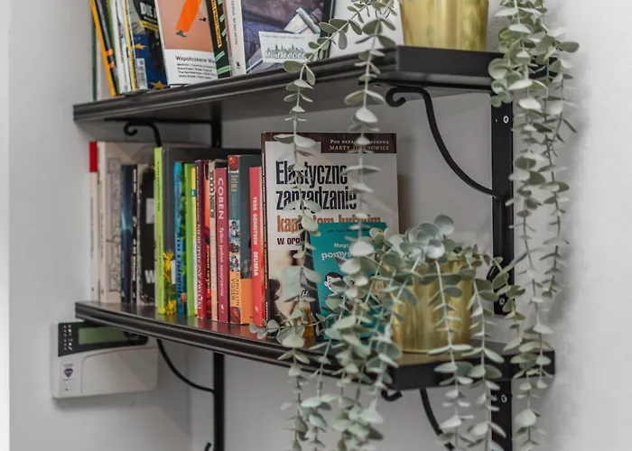 Auberge de jeunesse Coco *