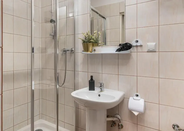 Coco Auberge de jeunesse *